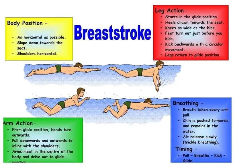 Jak szybko nauczyć się pływać żabką i uniknąć najczęstszych błędów Jak szybko nauczyć się pływać żabką i uniknąć najczęstszych błędów